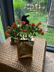 -JC·YOGA静禅瑜伽普拉提