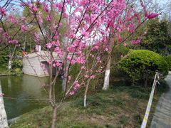 -荆川公园