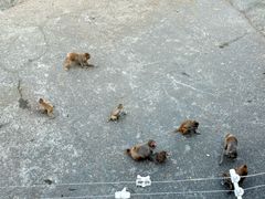 -无锡动物园·太湖欢乐园