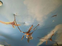 景点-自贡恐龙博物馆