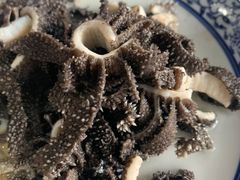 -东兴顺爆肚张