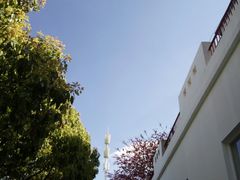 -收获咖啡HARVEST RESERVE(苍山店)