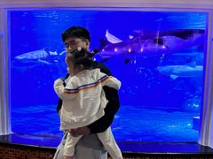 -成都浩海立方海洋公园