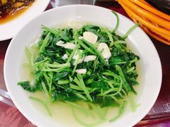 -青梅竹马农家乐餐馆