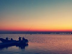 -碧海金沙