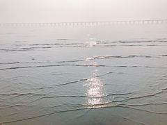 -宝安西湾红树林湿地公园