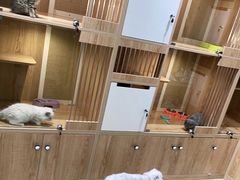 -老吴的猫·猫舍(新区店)