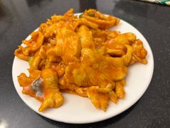 番茄鸡片-清真宏玉祥黄门脸餐厅(华荫东里店)