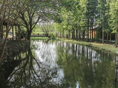 -溱湖国家湿地公园