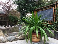 -庐山天沐温泉度假村