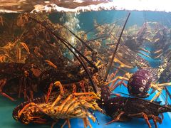 -同乐酒楼(皇后镇店)