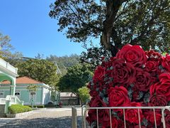 -龙环葡韵住宅式博物馆