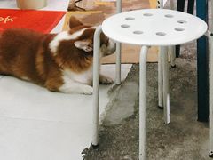 -小梁哥云吞面(黄贝岭店)