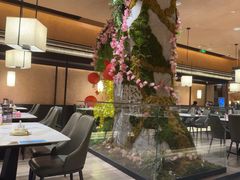 -阿露佳·舌尖上的安吉菜