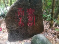 -呀诺达热带雨林