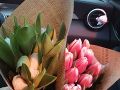 -双季花艺园艺市场(浦东店)