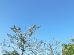 -南宁南湖公园