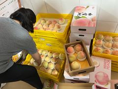 -老袁家蜜桃农场·阳山水蜜桃