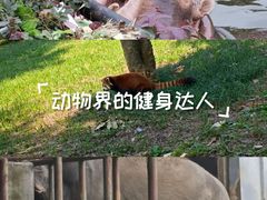 -合肥野生动物园