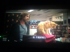 -苏宁影城
