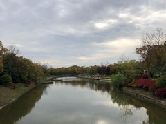 -上海海湾国家森林公园