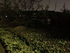 -昆山城市生态森林公园