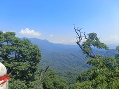 -青城山