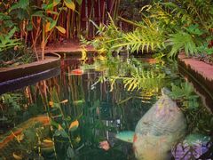 -Fern Forest Cafe