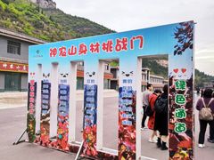 -神农山景区