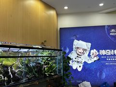 -神奇科学家STEAM科学实验科创赛事机器人编程逻辑思维MadScience(长宁来福士校区)