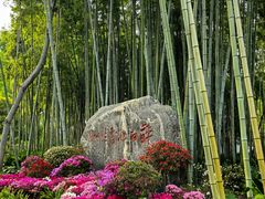 -上海醉白池公园