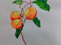 -八哥美术·成人美术画室(总校区)