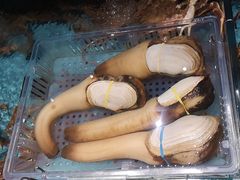 -阿伟海鲜楼·福建菜(延寿店)