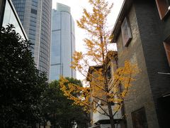 -徐家汇源景区-衡山坊