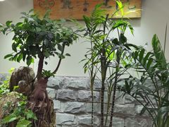 -丽江庭院之丽江往事(安定门店)