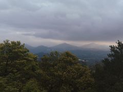 -梧桐山风景名胜区