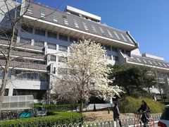 -麦隆咖啡(北大店)