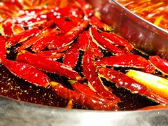 -渝味晓宇火锅(合川路店)