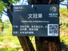 -国家植物园南园