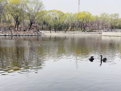 -石家庄市动物园