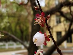 -哈尔滨师范大学(江南校区)