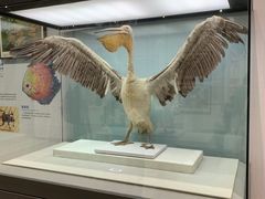 -浙江自然博物院(杭州馆)
