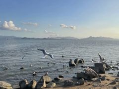 -深圳湾公园(南山区)