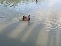 -东华大学(松江校区)