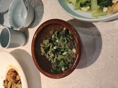 -洞庭家宴·头牌甲鱼(广渠门店)