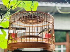 -碓臼峪自然风景区