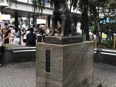 -涩谷区
