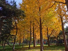 -元大都城垣遗址公园