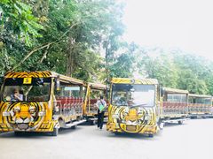 -清迈夜间动物园