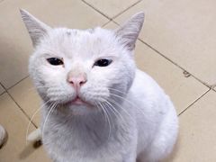 -甜甜屋(解放中路店)